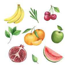 Watercolor organic set of fruits and herbs isolated on white background.