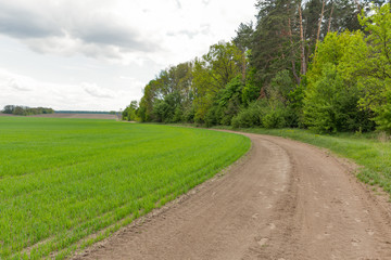 Fototapeta na wymiar Cloudy landscape with dirt road in field by the woods