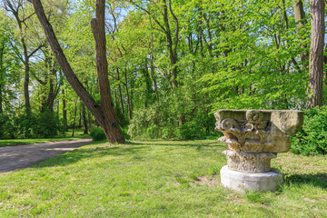Park Romantyczny w stylu ogrodu angielskiego w Arkadii w gminie Nieborów pod Łowiczem. Głowica kolumny greckiej leżącej obok ścieżki © stepmar
