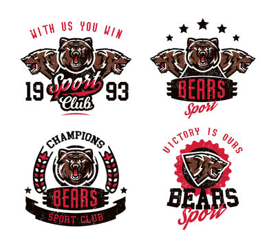 A collection of designs for printing on T-shirts, an aggressive bear ready to attack. Predator forests, dangerous animals, grizzly, wild animal, mascot, lettering. Vector illustration, grunge effect