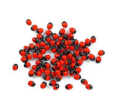 Jequirity seeds,Abrus precatorius L. on white background
