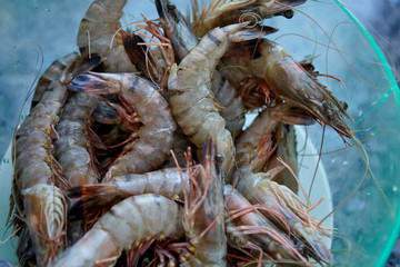 Fresh cold raw shrimps close-up, background, top view