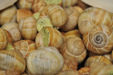 Cookies balls with coconut chips
