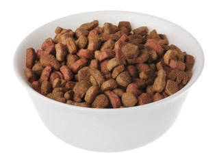 food for cats and dogs in white bowl on white background