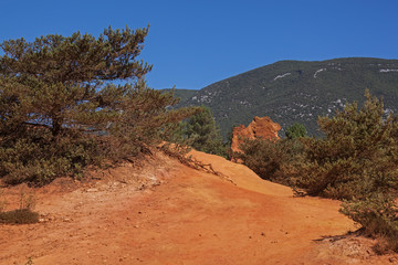 Bright orange ochre cliffs with pines on mountain background in the Colorado Provencal near village Roussillon  Provence, France