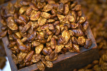 Silkworm puape, Korean street food 