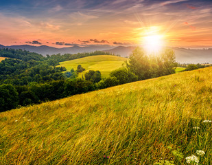 Obraz premium countryside summer landscape with field, forest and mountain ridge at sunset