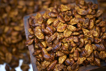 Silkworm puape, Korean street food 