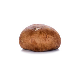 Fresh shiitake mushrooms isolated on white background