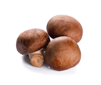 Fresh shiitake mushrooms isolated on white background