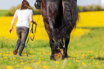 woman with a Friesian horse on a field