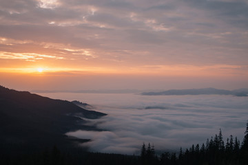 Fototapeta premium Fog morning in mountains.