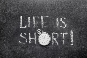 life is short watch