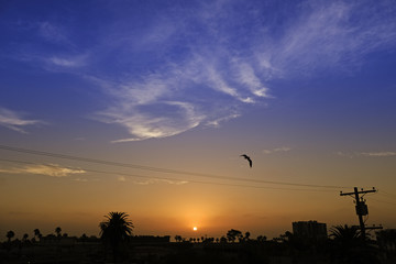 Sunset
