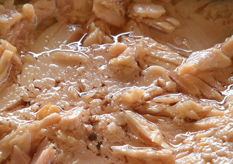 canned tuna