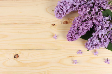 lilac flower on light wooden background. top view