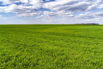 Podlaskie pola © podlaski49