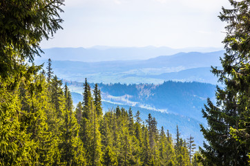 Winter mountains panorama with snowy peaks of Ukrainian Carpathians.