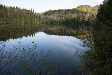Reflection