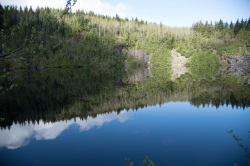 Reflection