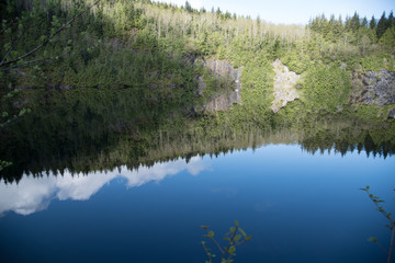 Reflection