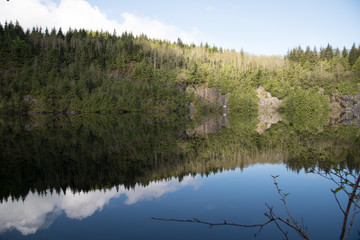 Reflection
