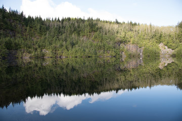 Reflection