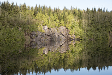 Reflection