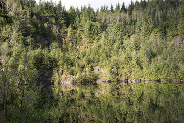 Reflection