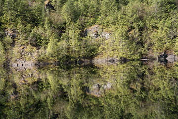 Reflection