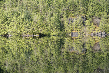 Reflection