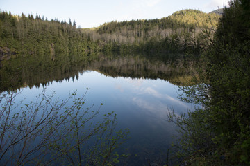 Reflection