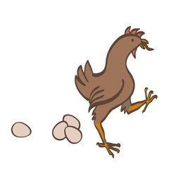 Brown chicken laying eggs