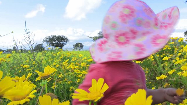 Small child playing in a meadow full of flowers. Near Mar Menor lagoon. Spain.  Clip 5.