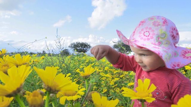 Small child playing in a meadow full of flowers. Near Mar Menor lagoon. Spain.  Clip 6.