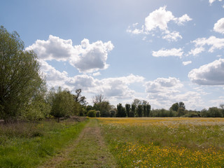 Fototapeta na wymiar peaceful summer scene of a path through a countryside location in the uk in essex