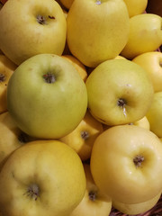 Golden Delicious apples