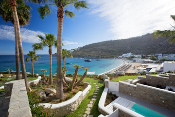 Panorama in Mykonos, Cyclades, Greece. Palm trees in foreground - obrazy, fototapety, plakaty