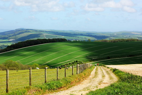 South Downs National Park In Sussex.