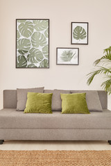 Couch with monstera posters hanging above