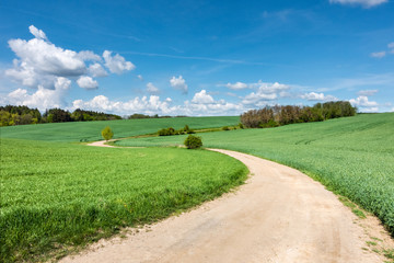 Spring landscape with dirt road and green fields