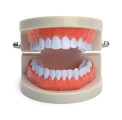 Open Dental Teeth