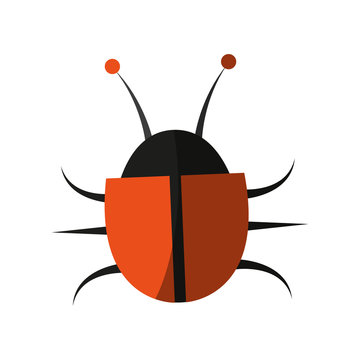 bug insect icon image vector illustration design 
