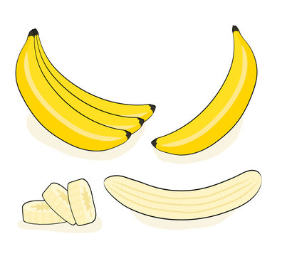 Vector banana. Bunches of fresh banana fruits isolated on white background, collection of vector illustrations in pop art retro comic style