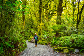 Track at the Chasm Fall, Fiordland National Park, Milford Sound, New Zealand