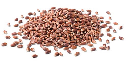 uncooked rye on white
