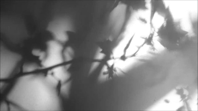 Schatten1505a