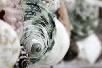 Framed mirrors, shells, shell picture frame, shell or seashell mobile hanging.