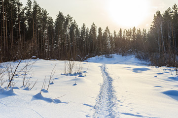 Fototapeta na wymiar The path in the winter forest towards the 