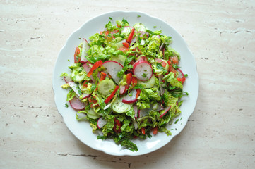 Spring vegan salad with tomato, cucumbers, radish and chinese cabbage